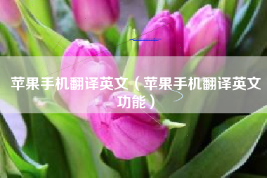 苹果手机翻译英文(苹果手机翻译英文功能)