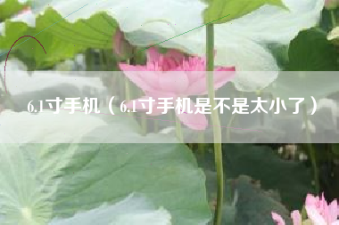 6.1寸手机(6.1寸手机是不是太小了)