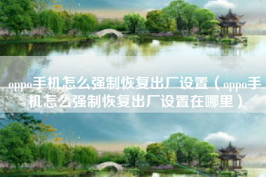 oppo手机怎么强制恢复出厂设置(oppo手机怎么强制恢复出厂设置在哪里)