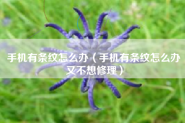 手机有条纹怎么办(手机有条纹怎么办又不想修理)
