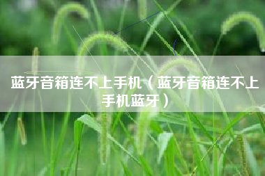 蓝牙音箱连不上手机(蓝牙音箱连不上手机蓝牙)
