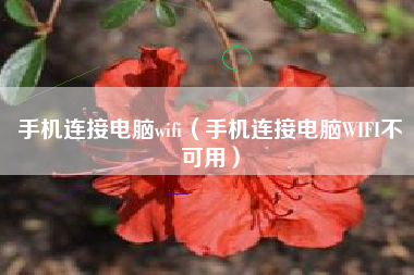 手机连接电脑wifi(手机连接电脑WIFI不可用)