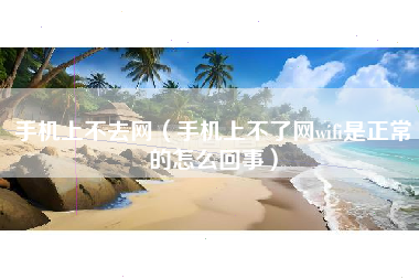 手机上不去网(手机上不了网wifi是正常的怎么回事)