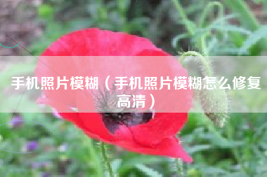 手机照片模糊(手机照片模糊怎么修复高清)