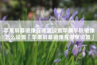苹果屏幕镜像在哪里设置苹果手机镜像怎么设置「苹果屏幕镜像在哪里设置」