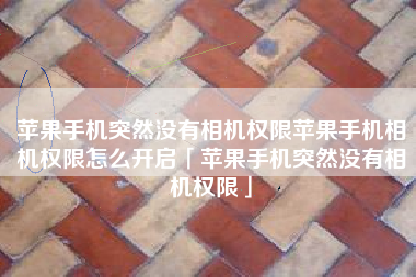苹果手机突然没有相机权限苹果手机相机权限怎么开启「苹果手机突然没有相机权限」