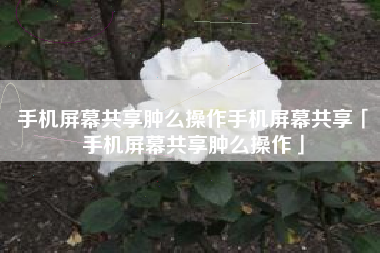 手机屏幕共享肿么操作手机屏幕共享「手机屏幕共享肿么操作」