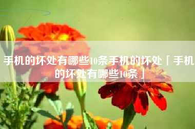 手机的坏处有哪些10条手机的坏处「手机的坏处有哪些10条」